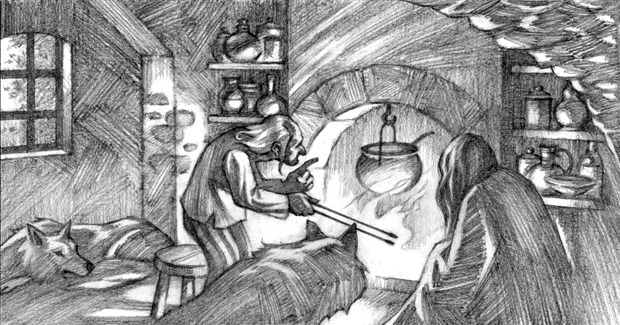 Vincent Madras - Illustrations intérieures