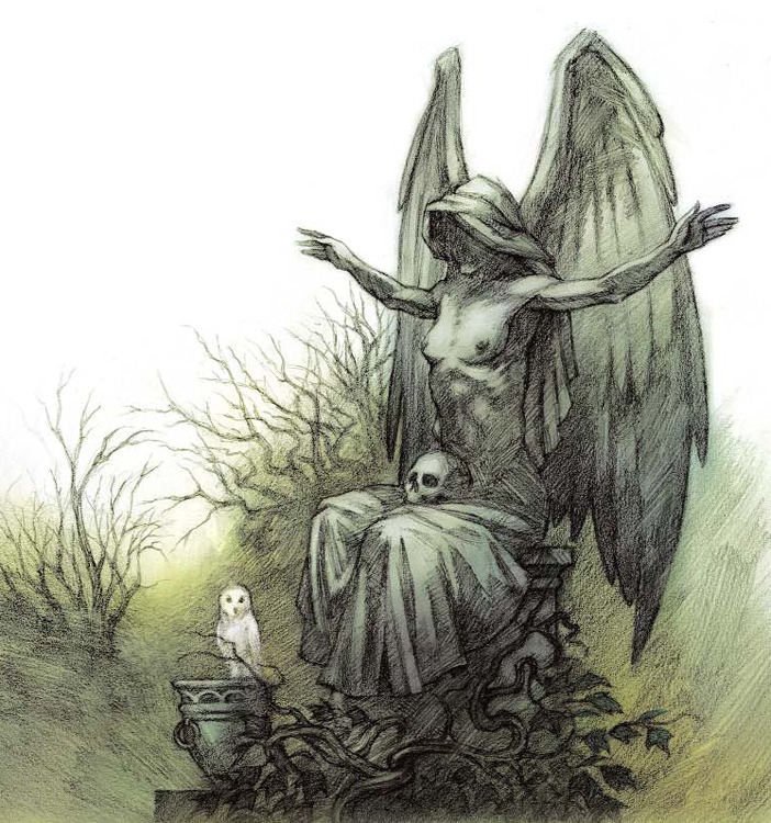 Vincent Madras - Illustrations intérieures