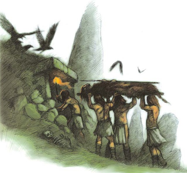 Vincent Madras - Illustrations intérieures