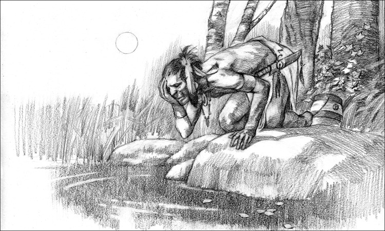 Vincent Madras - Illustrations intérieures