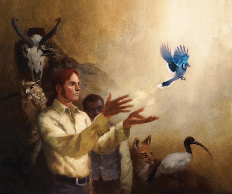 Vincent Madras - Couvertures de livres