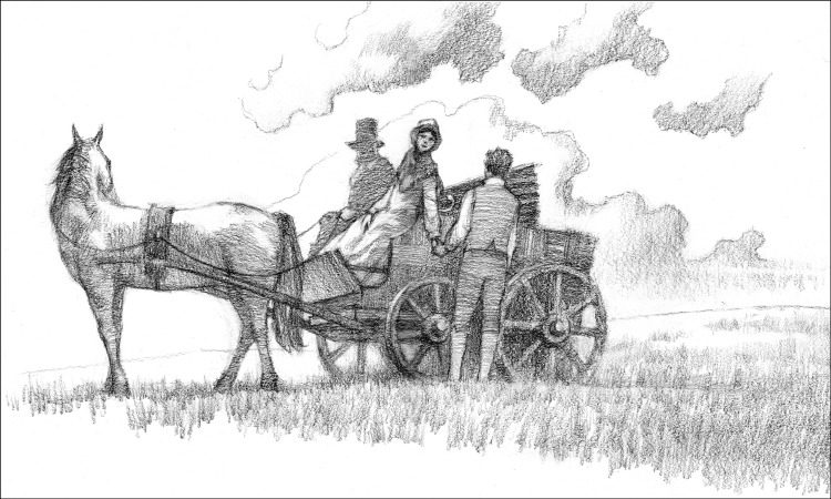 Vincent Madras - Illustrations intérieures
