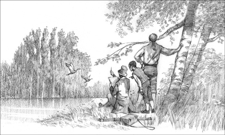 Vincent Madras - Illustrations intérieures