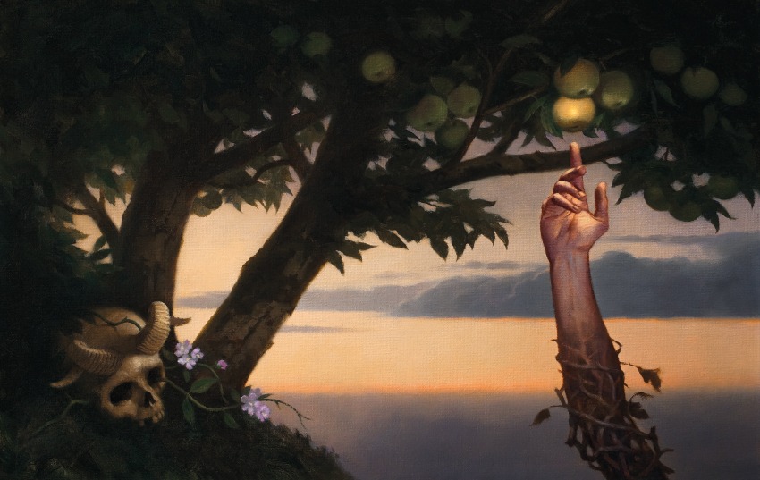 Vincent Madras - Couvertures de livres