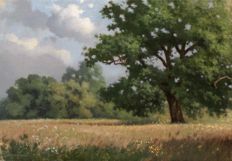 Vincent Madras - Plein air et paysages